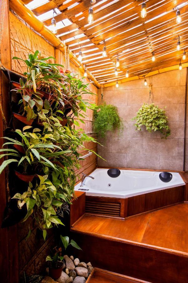 Casa Suculenta ,Monteverde Con Jacuzzi Privado Y Lavanderia Ngoại thất bức ảnh