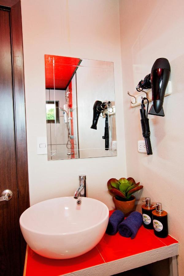 Casa Suculenta ,Monteverde Con Jacuzzi Privado Y Lavanderia Ngoại thất bức ảnh